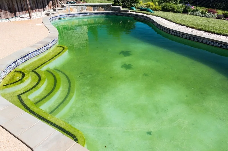 pool-water-green-1-1