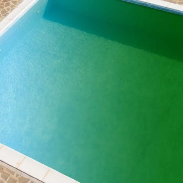 Why is My Pool Water Green? Causes and Solutions