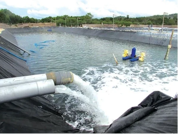 Top 3 Popular Aquaculture Pond Water Treatment Chemicals That Are Highly Effective Today