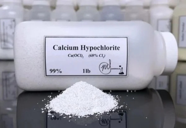 Mechanism of Disinfection by Calcium Hypochlorite