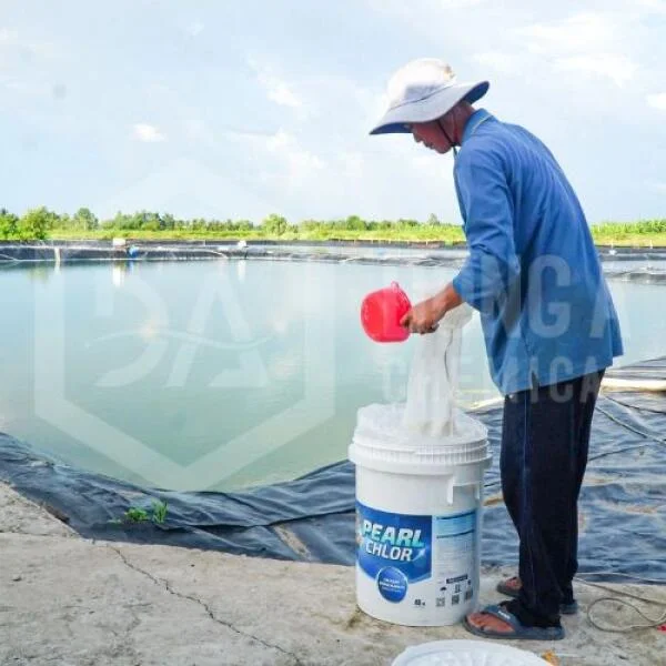 Dong A Chemical: Standing Side-by-Side with Shrimp Farmers