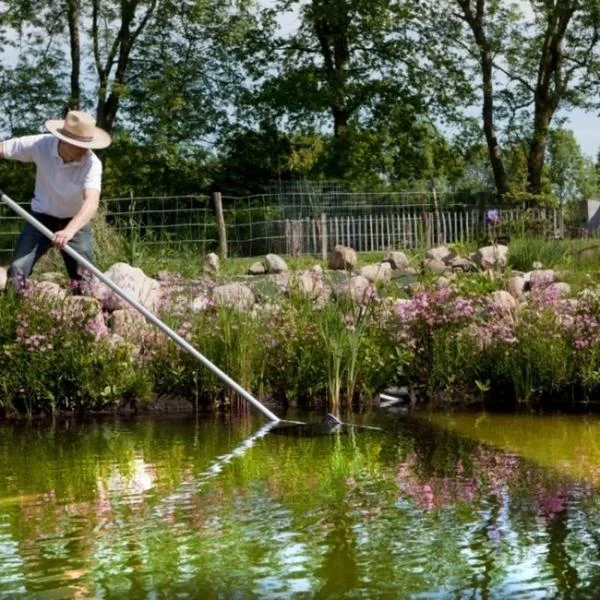 Essential Pond Treatments for a Healthy Ecosystem