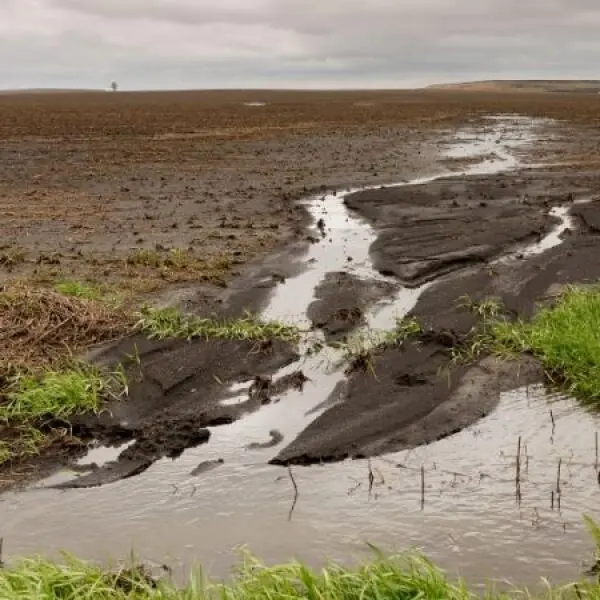 The Impact of Heavy Metals on Aquaculture Water: Challenges and Solutions