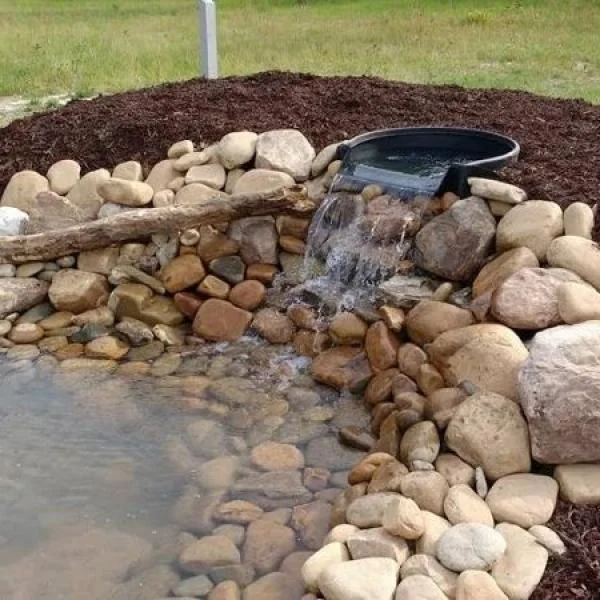 Pond Filtration 101: Essential Tips for a Thriving Aquatic Environment