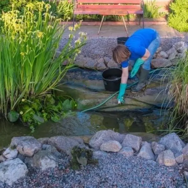 What Does Proper Pond Maintenance Involve? Pond Maintenance Made Easy