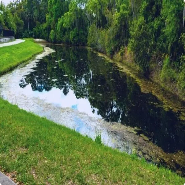 Retention Pond vs Detention Pond: Key Differences and Applications