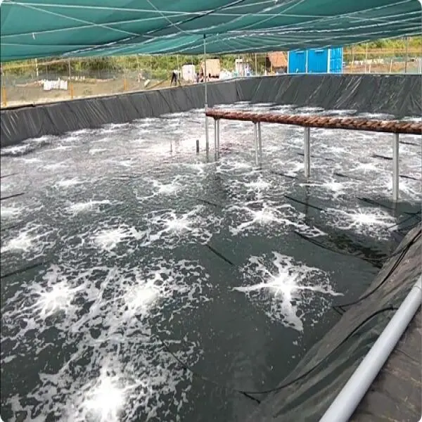 The Importance of Shrimp Nurseries in Modern Aquaculture