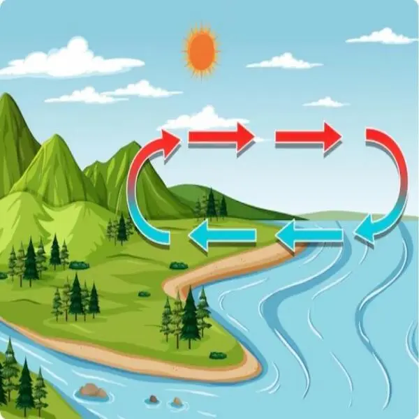 The Importance of Water Circulation: Why It Matters and How to Optimize It