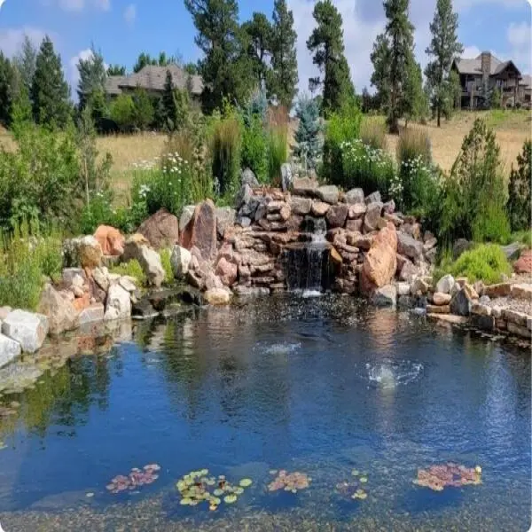 Designing Your Dream Pond: How to Design the Perfect Pond for Your Landscape