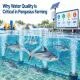 water-treatment-chemicals-for-pangasius-farming