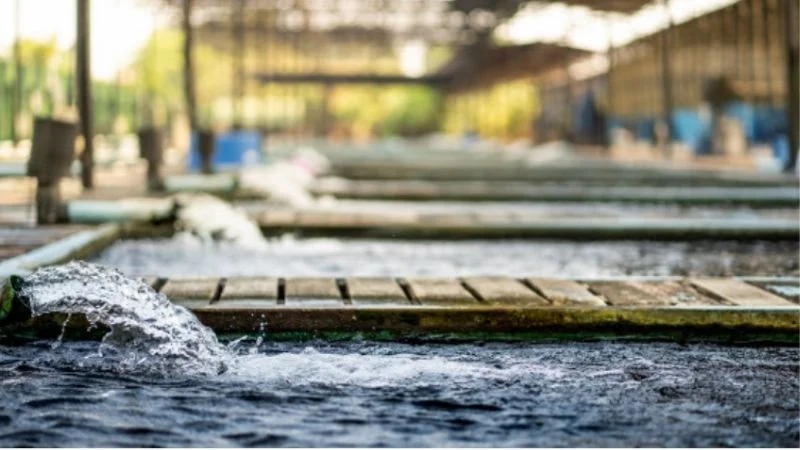 Using UV radiation to remove excess Chlorine