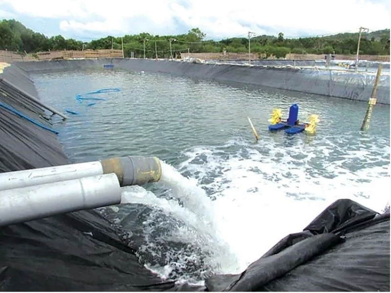 The-necessity-of-water-treatment-in-aquaculture-ponds-today-helps-improve-harvest-productivity