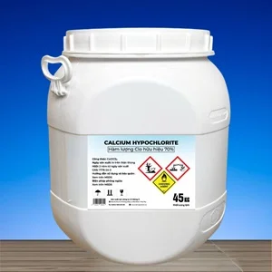 web-com-clo-trung-tinh