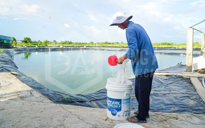 Dong A Chemical: Standing Side-by-Side with Shrimp Farmers