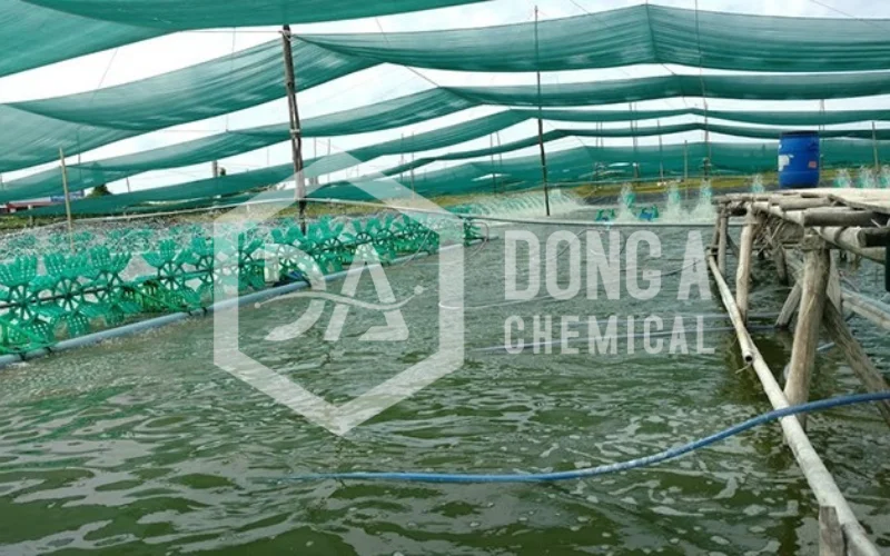 tcca-90-chlorine-90-4