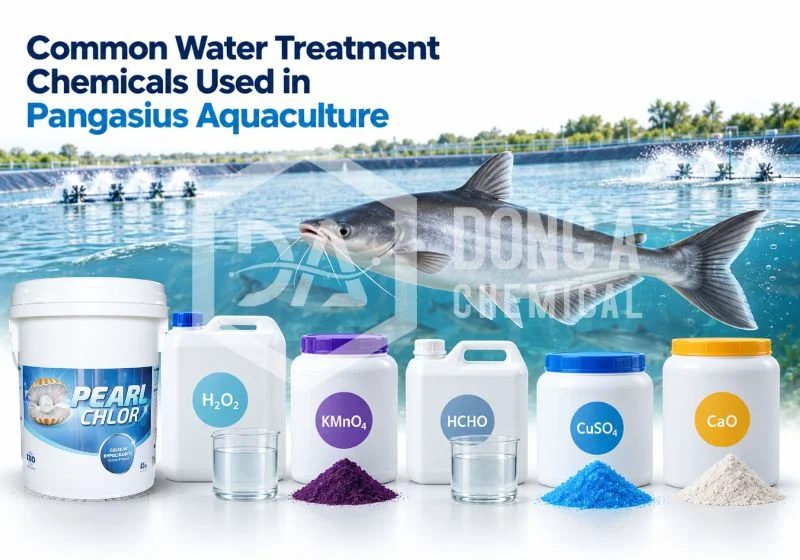 water-treatment-chemicals-for-pangasius-farming-1-1