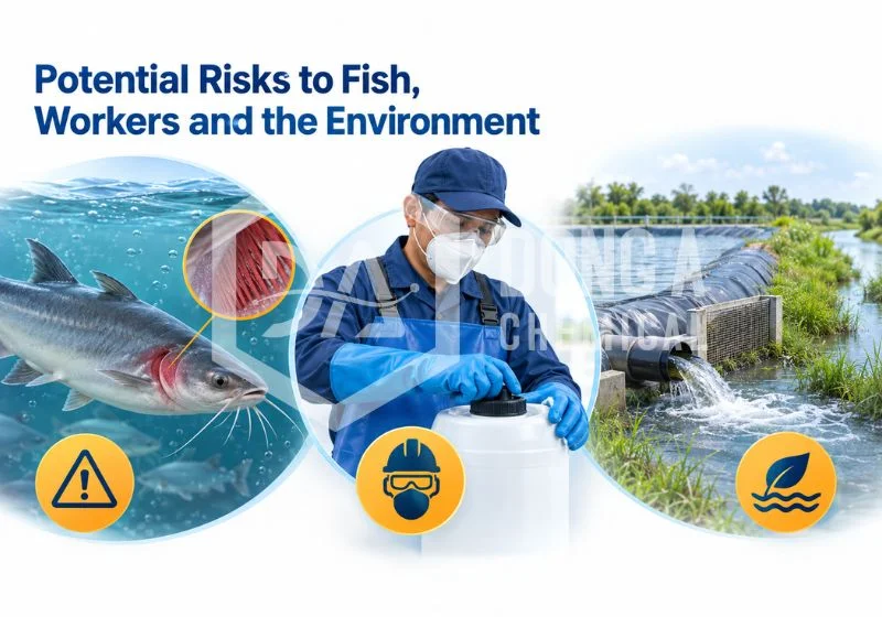 water-treatment-chemicals-for-pangasius-farming-5