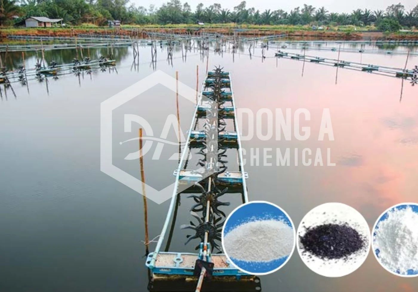 tcca-vs-calcium-hypochlorite-1