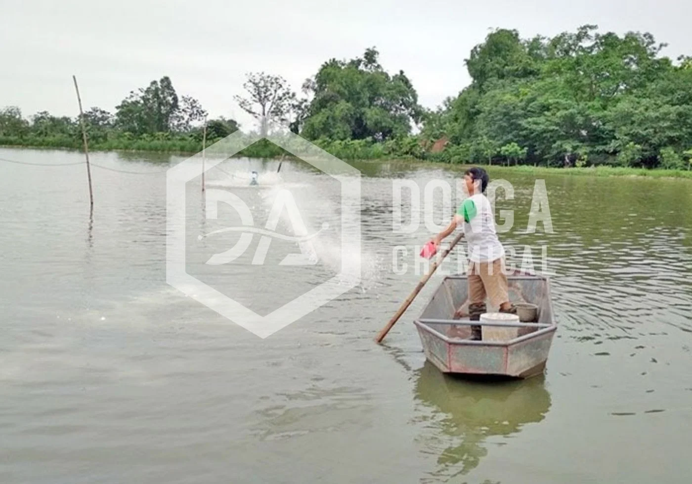 tcca-vs-calcium-hypochlorite-5