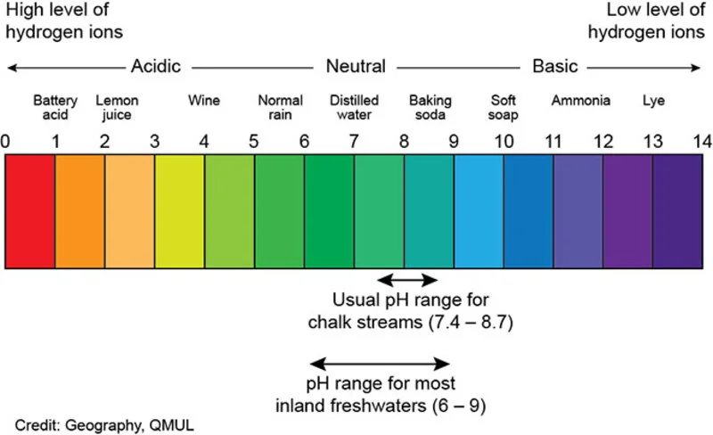 a-deep-dive-into-water-parameters-3