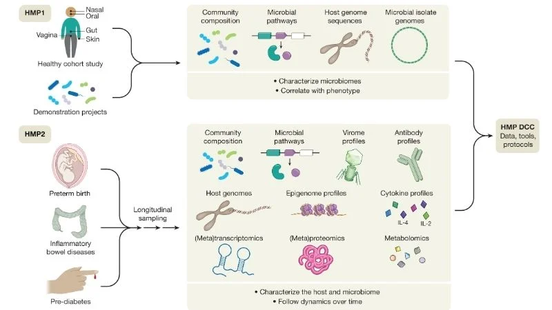 a-look-at-bacterial-life-5