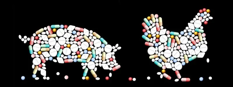 antibiotics-in-farming-1