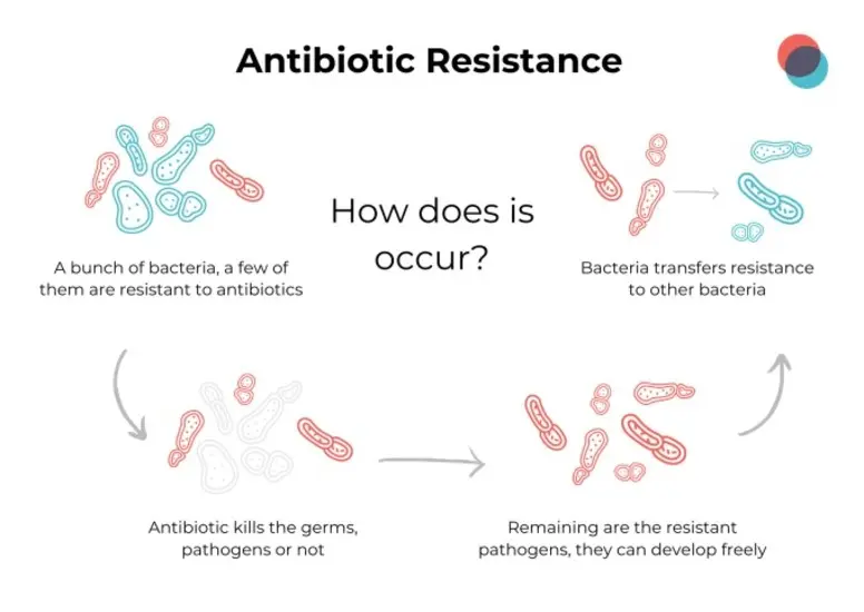 antibiotics-in-farming-2-1