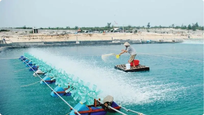 biosecurity-in-shrimp-farming-1