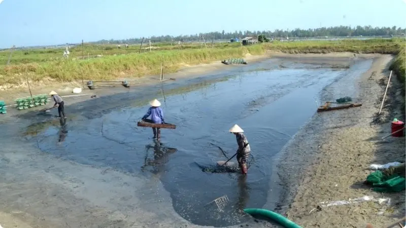 biosecurity-in-shrimp-farming-2