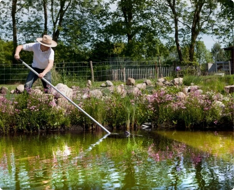 essential-pond-treatments-for-a-healthy-ecosystem-3