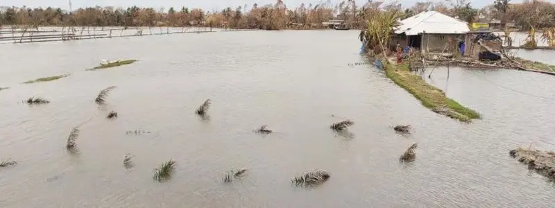 floods-in-shrimp-ponds-1