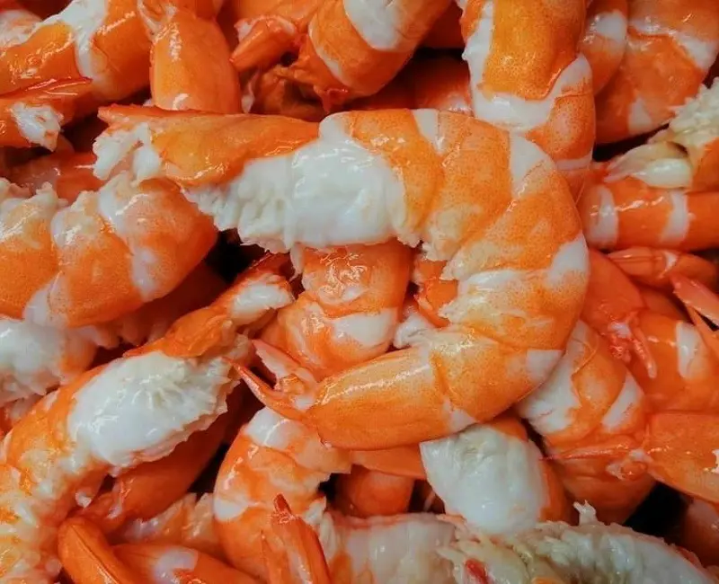 health-benefits-of-shrimp-3