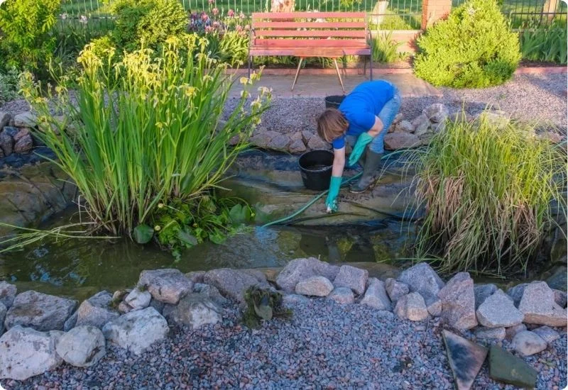 how-to-change-pond-water-1