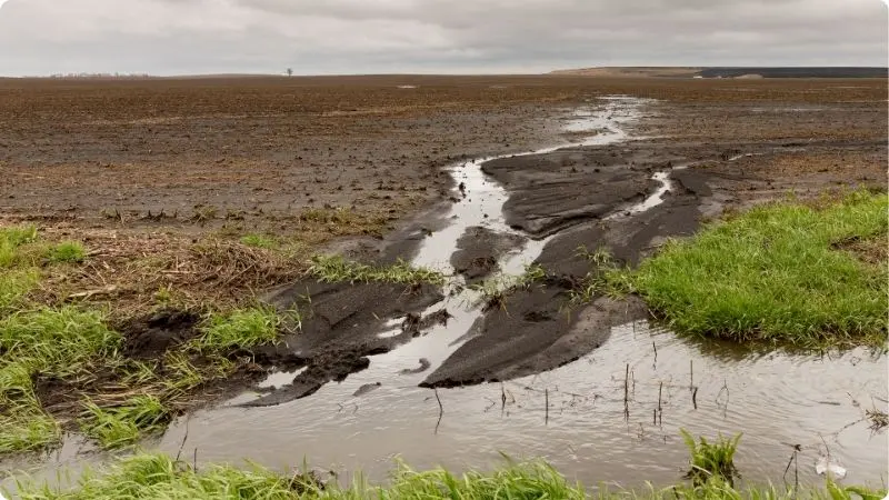 impact-of-heavy-metals-on-aquaculture-water-1