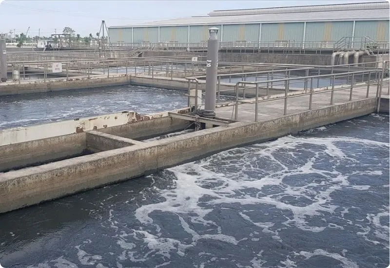 impact-of-heavy-metals-on-aquaculture-water-3