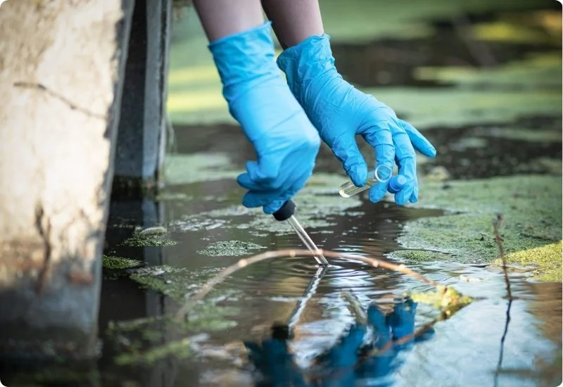 key-factors-for-healthy-pond-water-quality-5