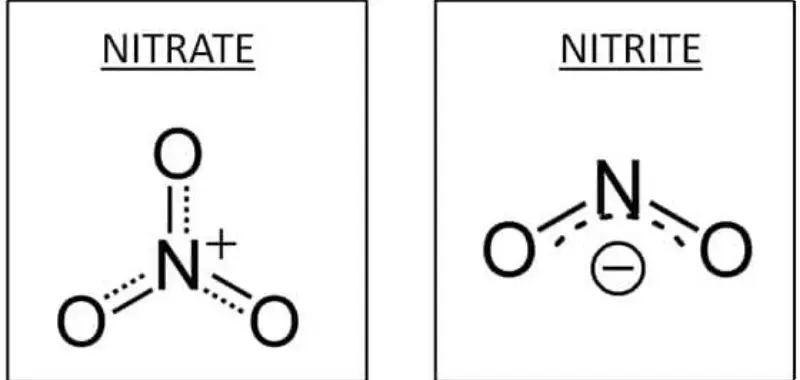 nitrite-and-nitrate-1