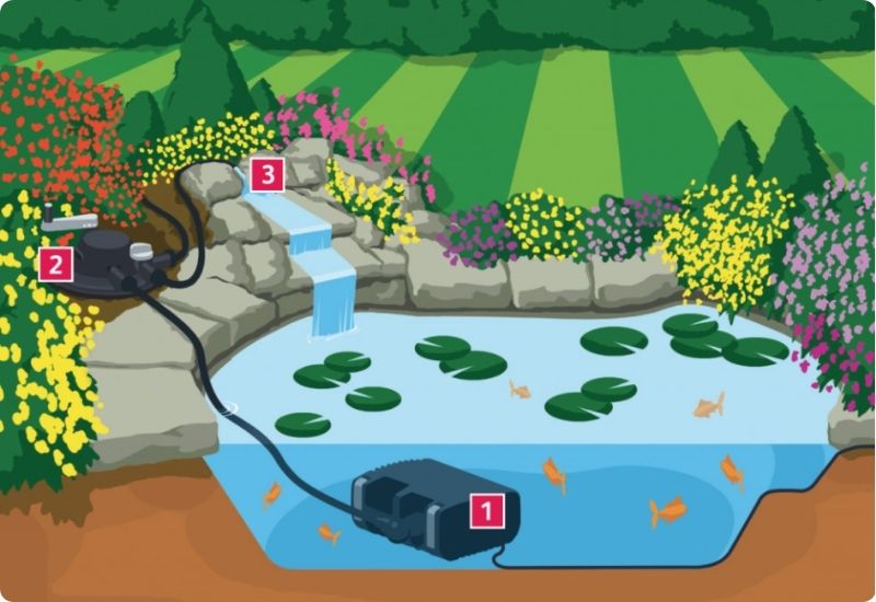Optimizing Pond Circulation for a Healthy and Vibrant Ecosystem
