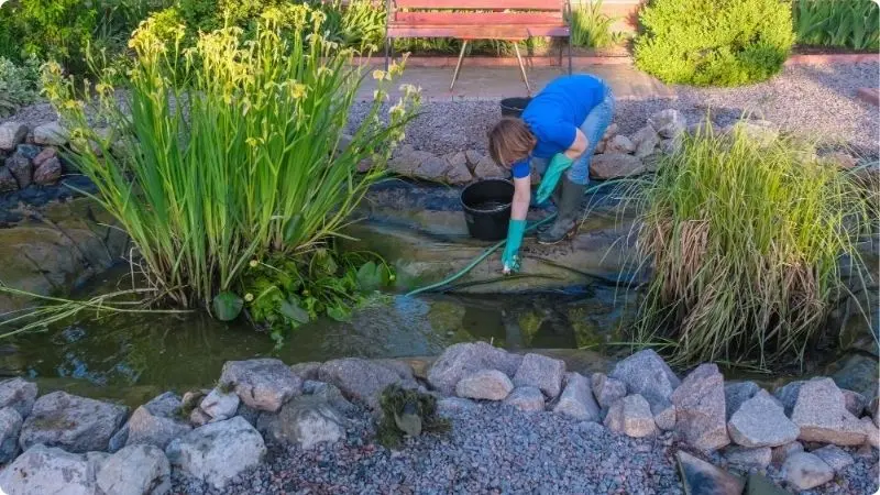 pond-maintenance-cost-2