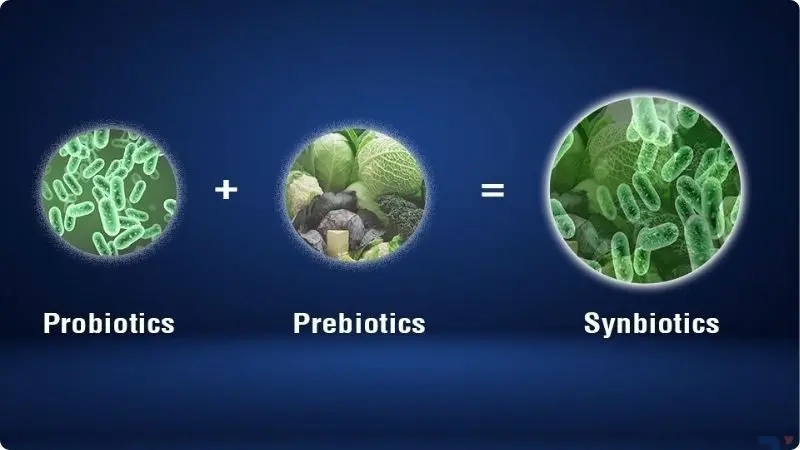 probiotics-vs-prebiotics-2