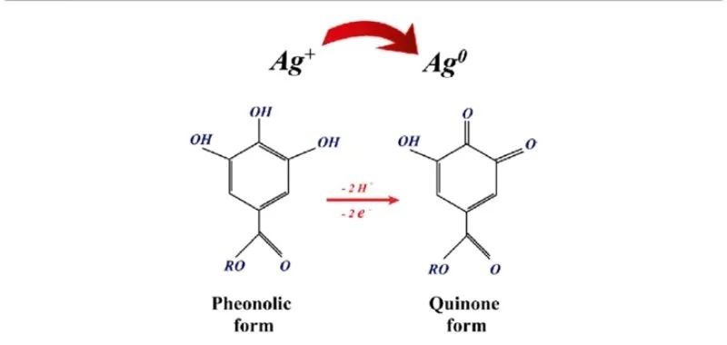 the-science-behind-silver-ions-1