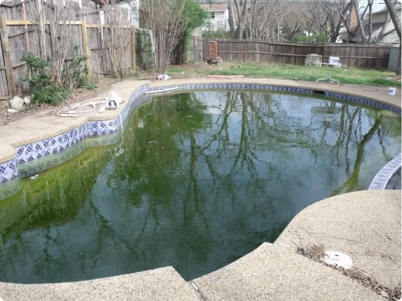 understanding-and-preventing-pool-contamination-1