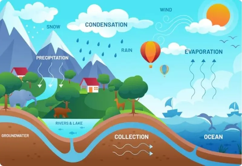 water-circulation-system-3