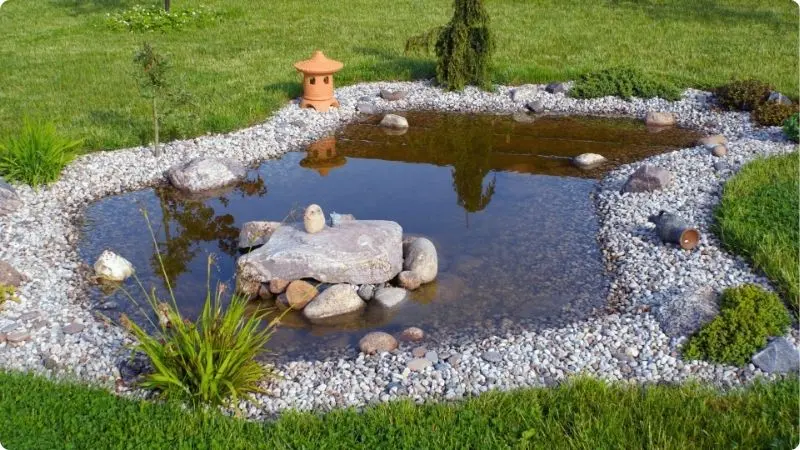 water-pond-design-1