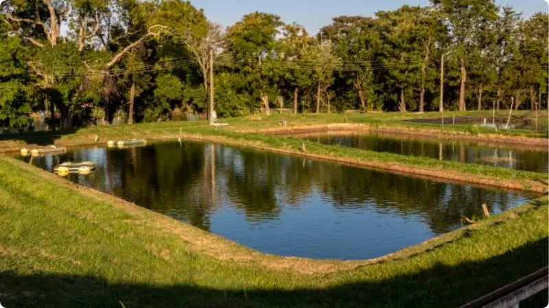 water-pond-design-4