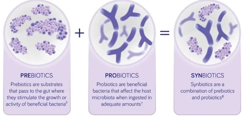 what-are-synbiotics-1