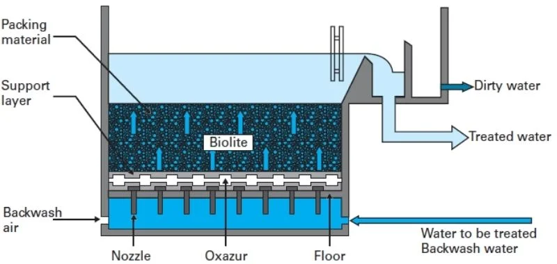 what-can-biological-filtration-do-for-your-pond-1