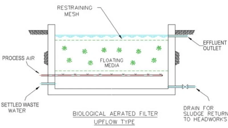 what-can-biological-filtration-do-for-your-pond-2