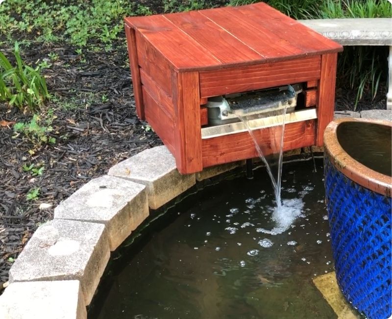 What Can Biological Filtration Do for Your Pond?