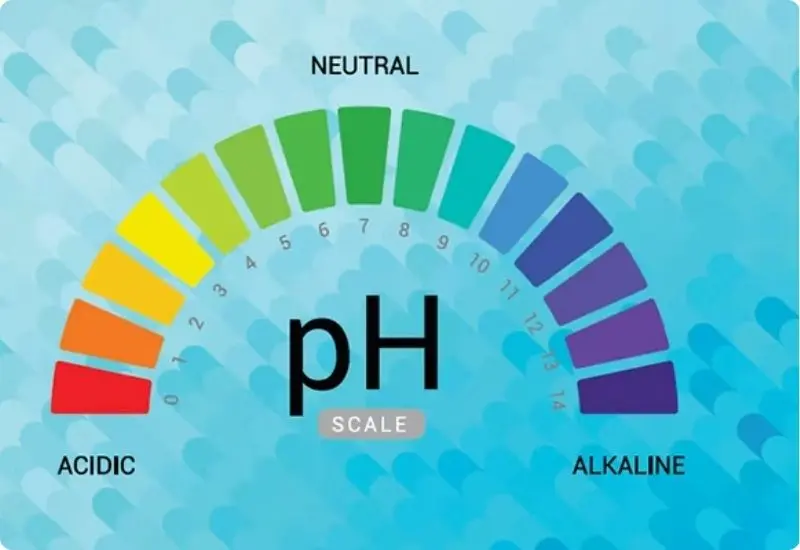 what-is-alkalinity-1